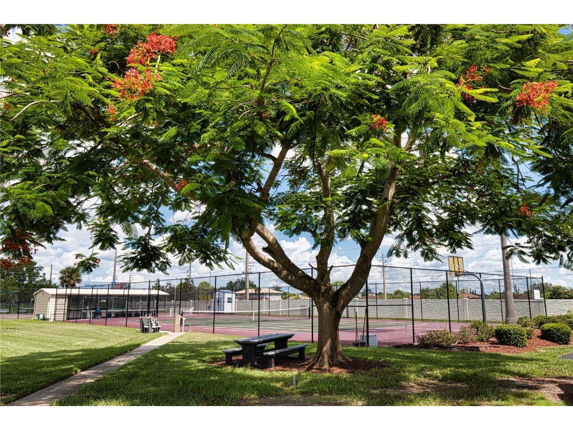 233 El Prado North Port FL 34287 TB8418939 image56