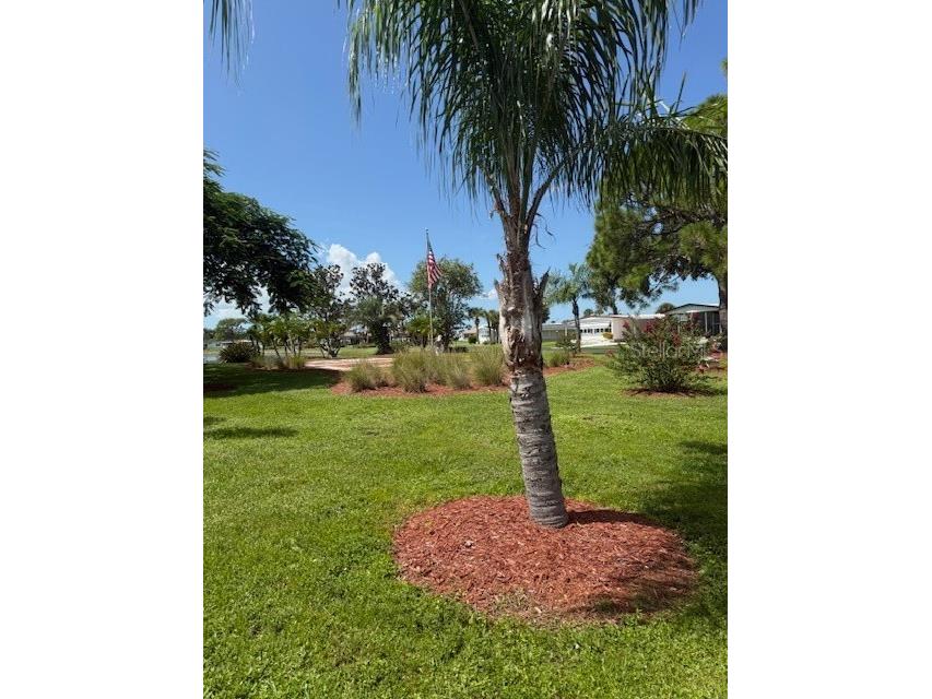 233 El Prado North Port FL 34287 TB8418939 image6