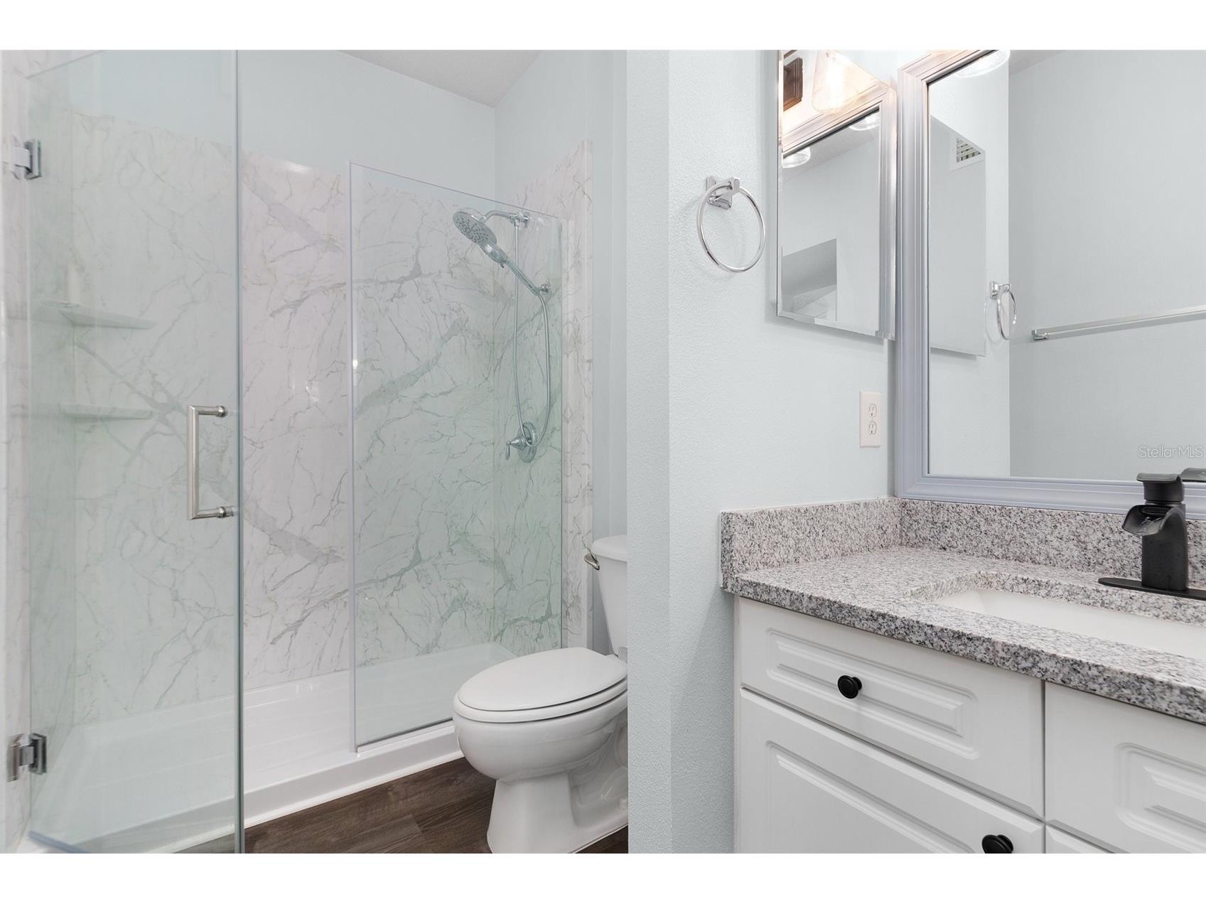 233 Goldenrain Drive #202 Celebration FL 34747 S5149832 image22
