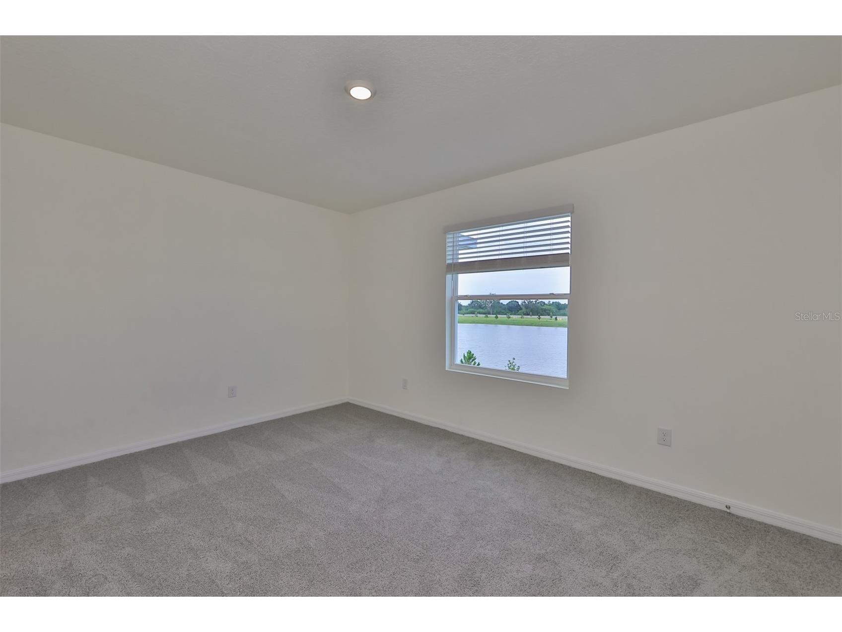 233 Mangrove Shade Circle Apollo Beach FL 33572 TB8514852 image22