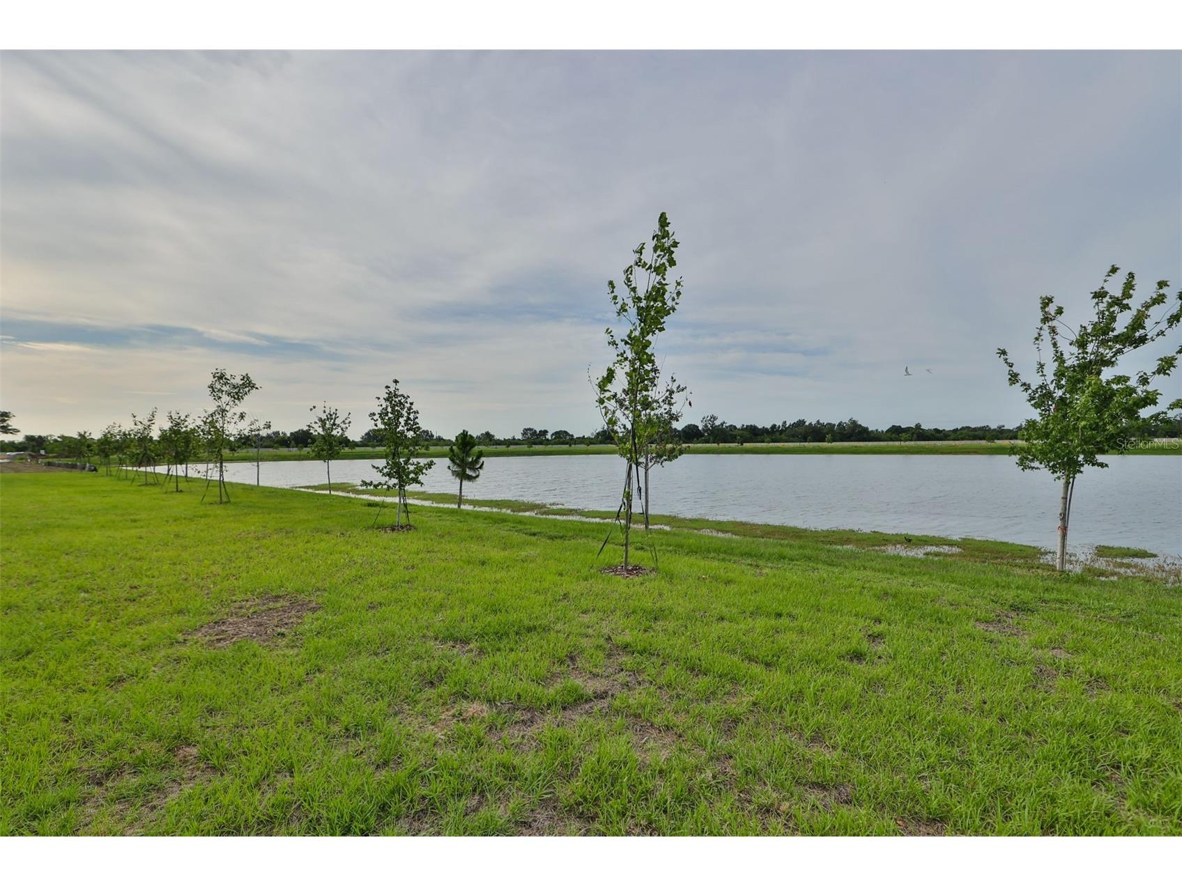 233 Mangrove Shade Circle Apollo Beach FL 33572 TB8514852 image35
