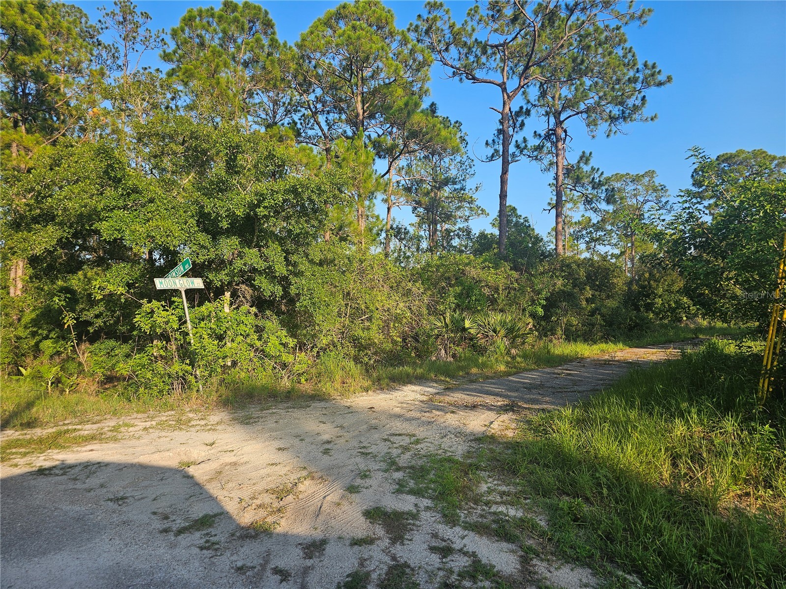 233 Moon Glow Court Lake Placid FL 33852 P4939397 image10
