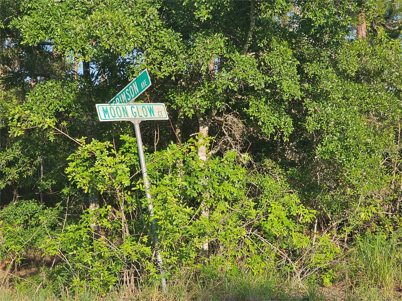 233 Moon Glow Court Lake Placid FL 33852 P4939397 image11