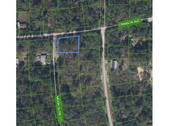 233 Moon Glow Court Lake Placid FL 33852 P4939397 image2
