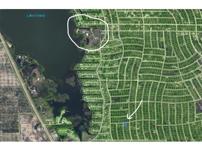 233 Moon Glow Court Lake Placid FL 33852 P4939397 image3