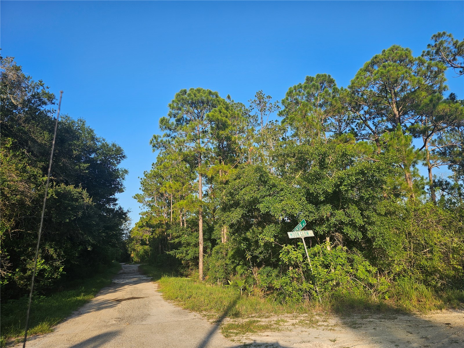 233 Moon Glow Court Lake Placid FL 33852 P4939397 image8