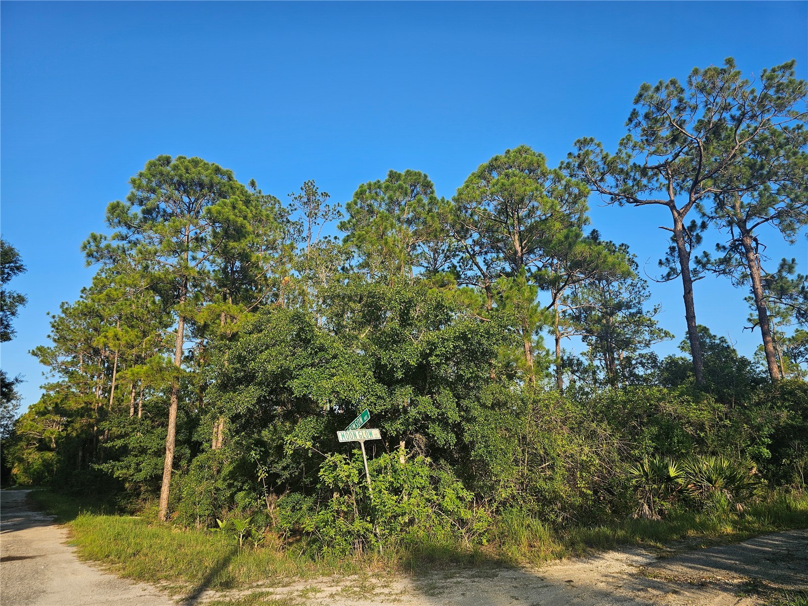 233 Moon Glow Court Lake Placid FL 33852 P4939397 image9