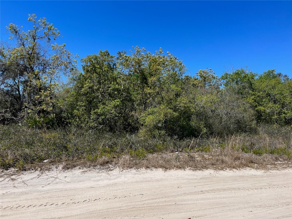 233 N Walker Road Avon Park FL 33825 L4936022 image1