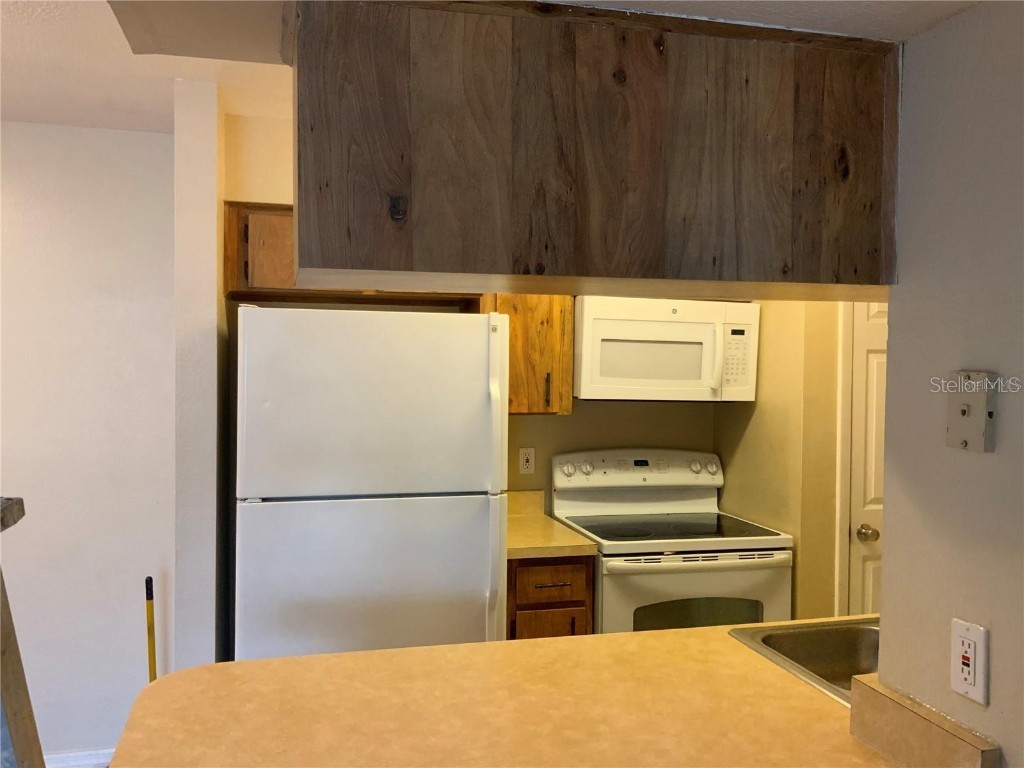 233 Red Maple Place #233 Brandon FL 33510 TB8453480 image6