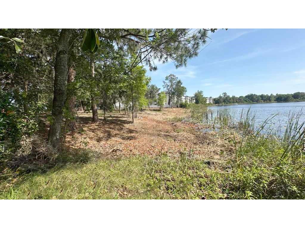 233 Ronald Reagan Parkway Davenport FL 33896 - LAKE LOCKE S5116812 image5