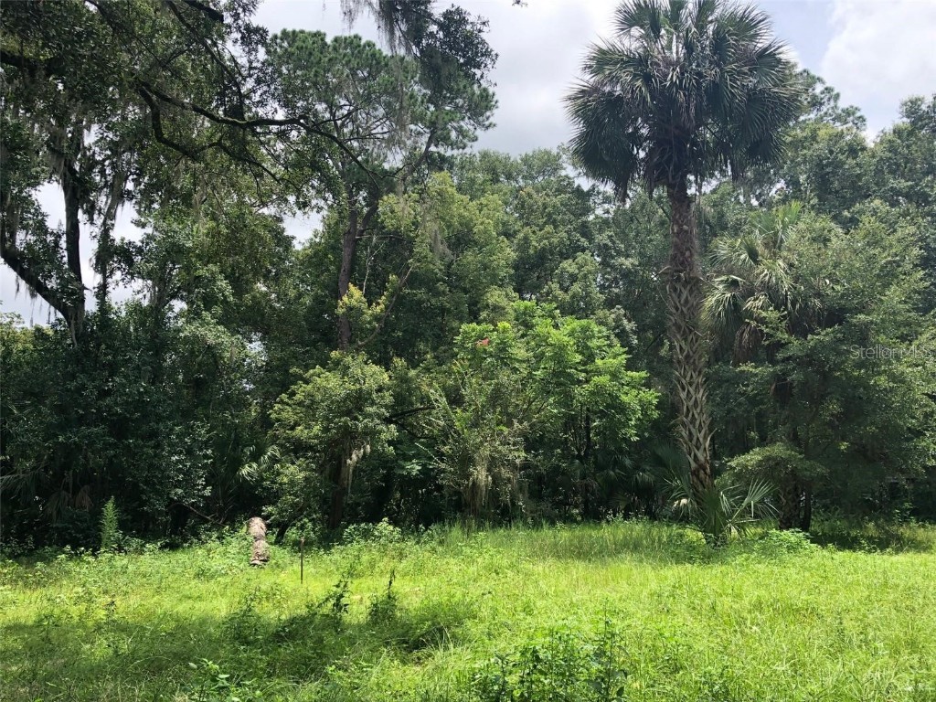 233 SE 9th Street Gainesville FL 32601 GC511388 image1