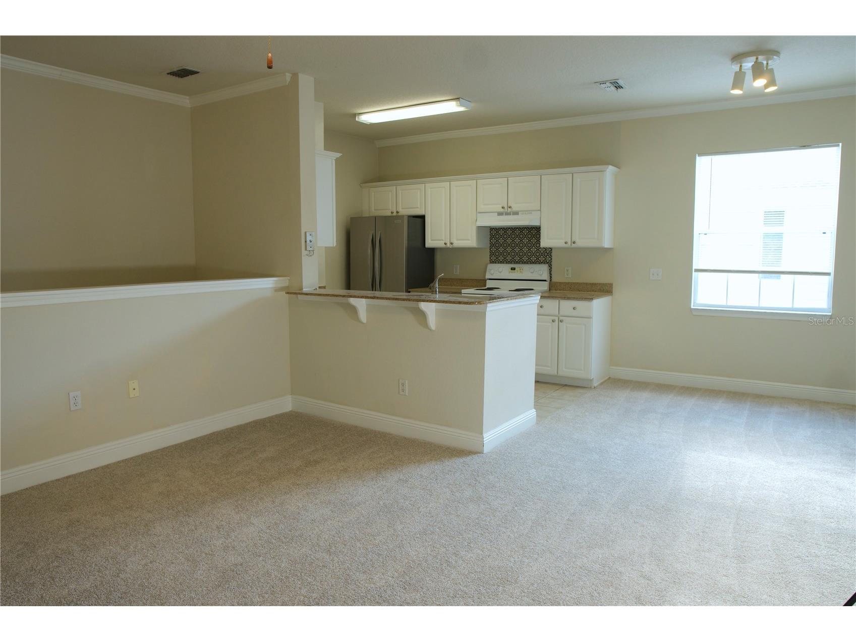 233 Southern Pecan Circle #101 Winter Garden FL 34787 S5142016 image7