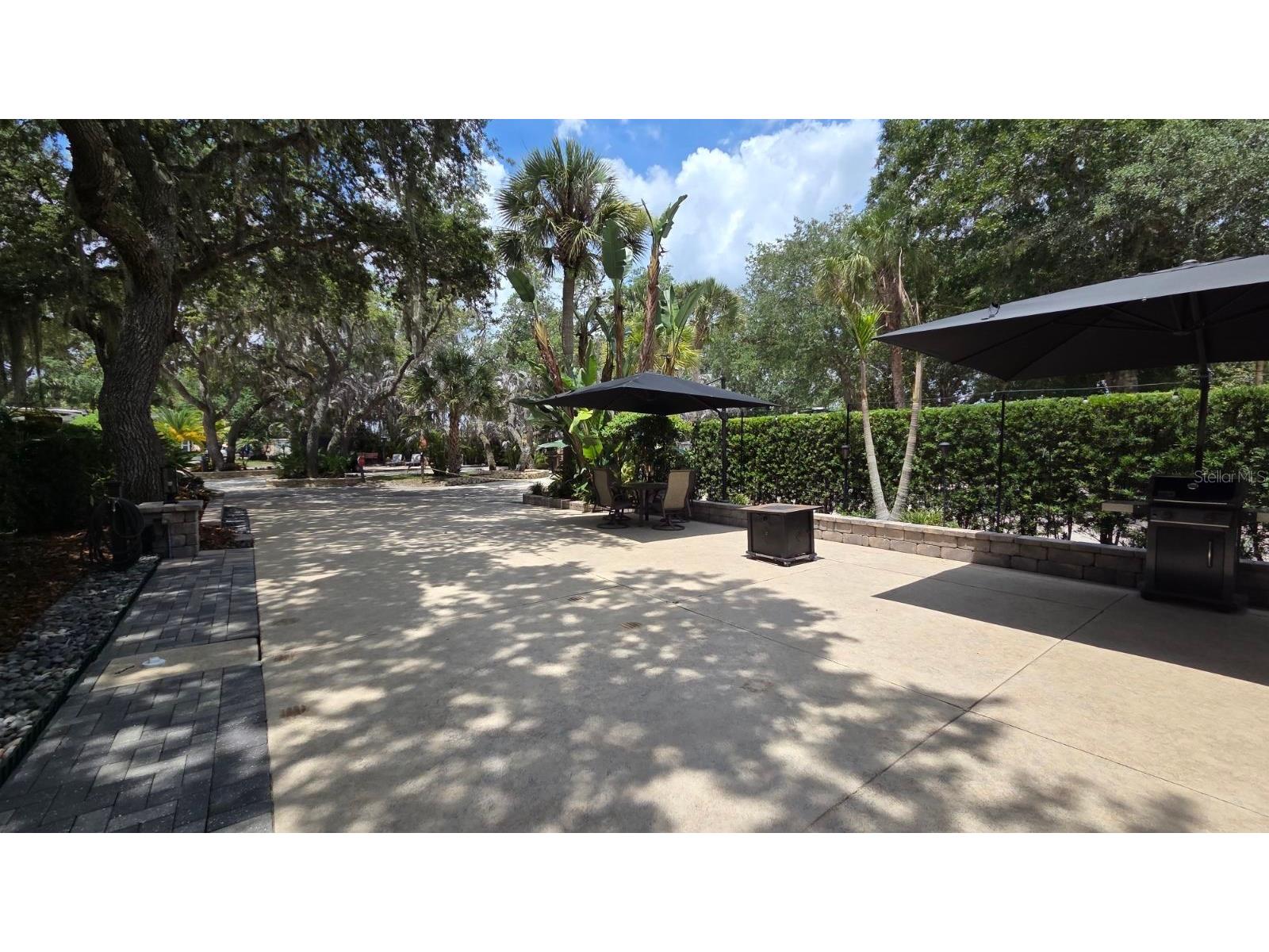 233 Stallion Lane River Ranch FL 33867 TB8521074 image13