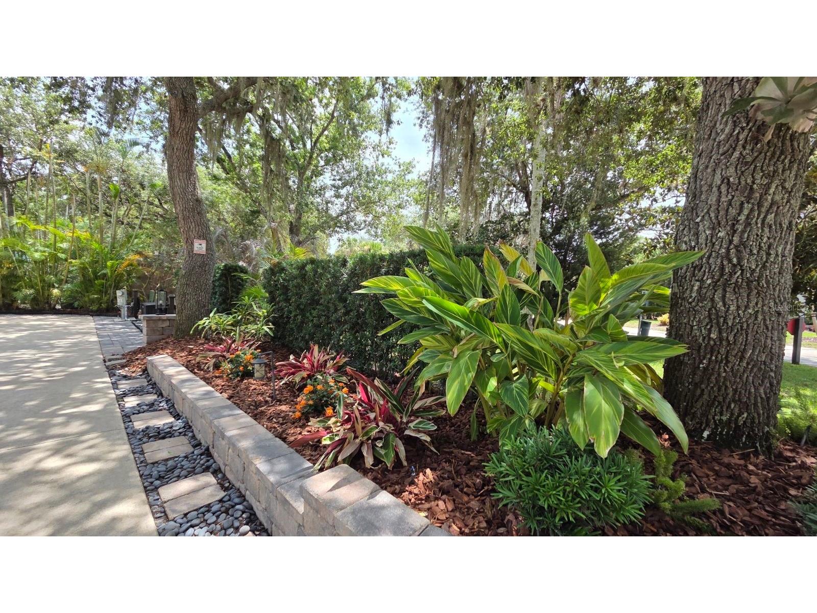 233 Stallion Lane River Ranch FL 33867 TB8521074 image5