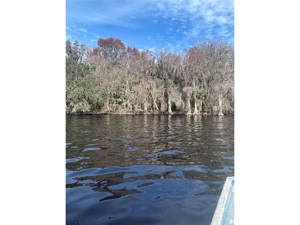 233 Stella Road Georgetown FL 32139 V4940404 image1