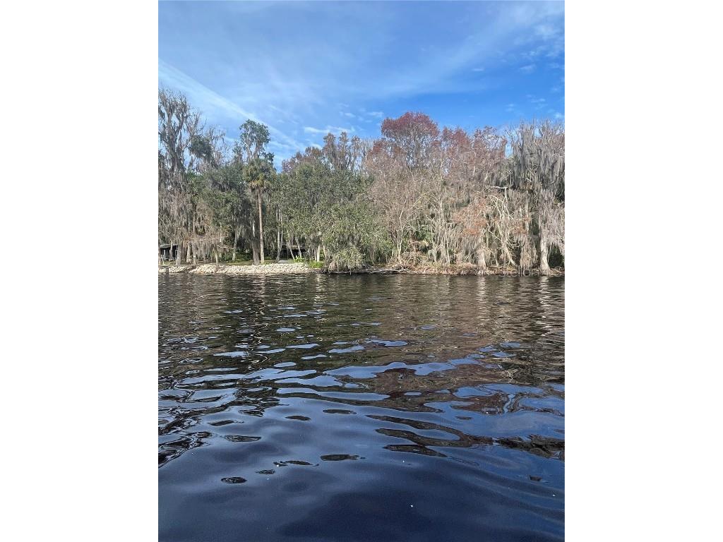 233 Stella Road Georgetown FL 32139 V4940404 image2