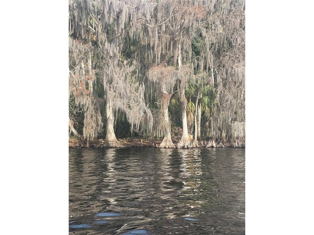 233 Stella Road Georgetown FL 32139 V4940404 image3