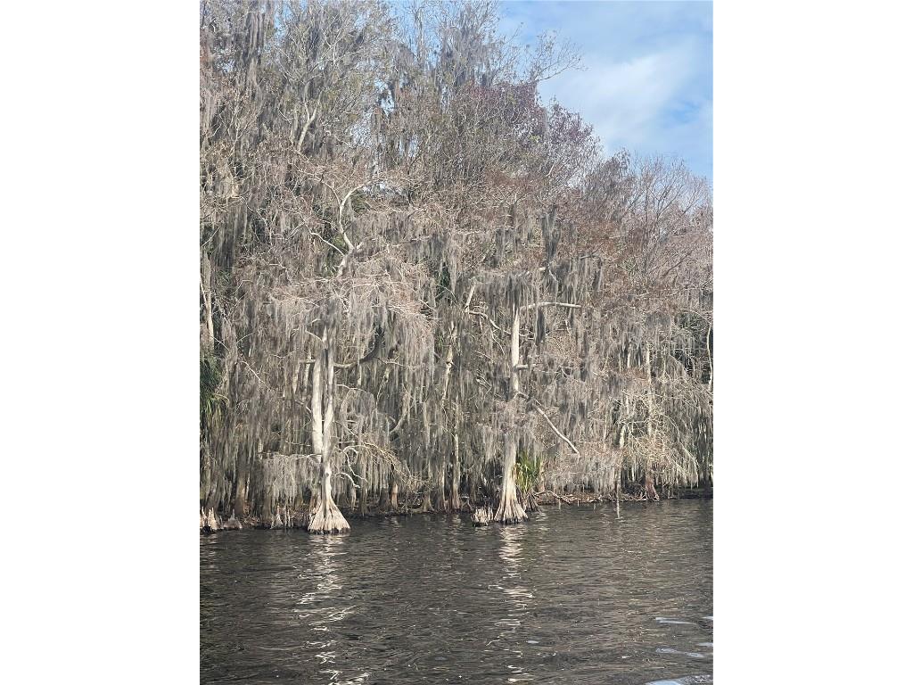 233 Stella Road Georgetown FL 32139 V4940404 image4