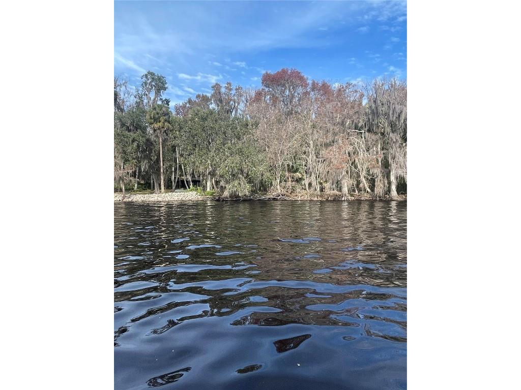 233 Stella Road Georgetown FL 32139 V4940404 image5