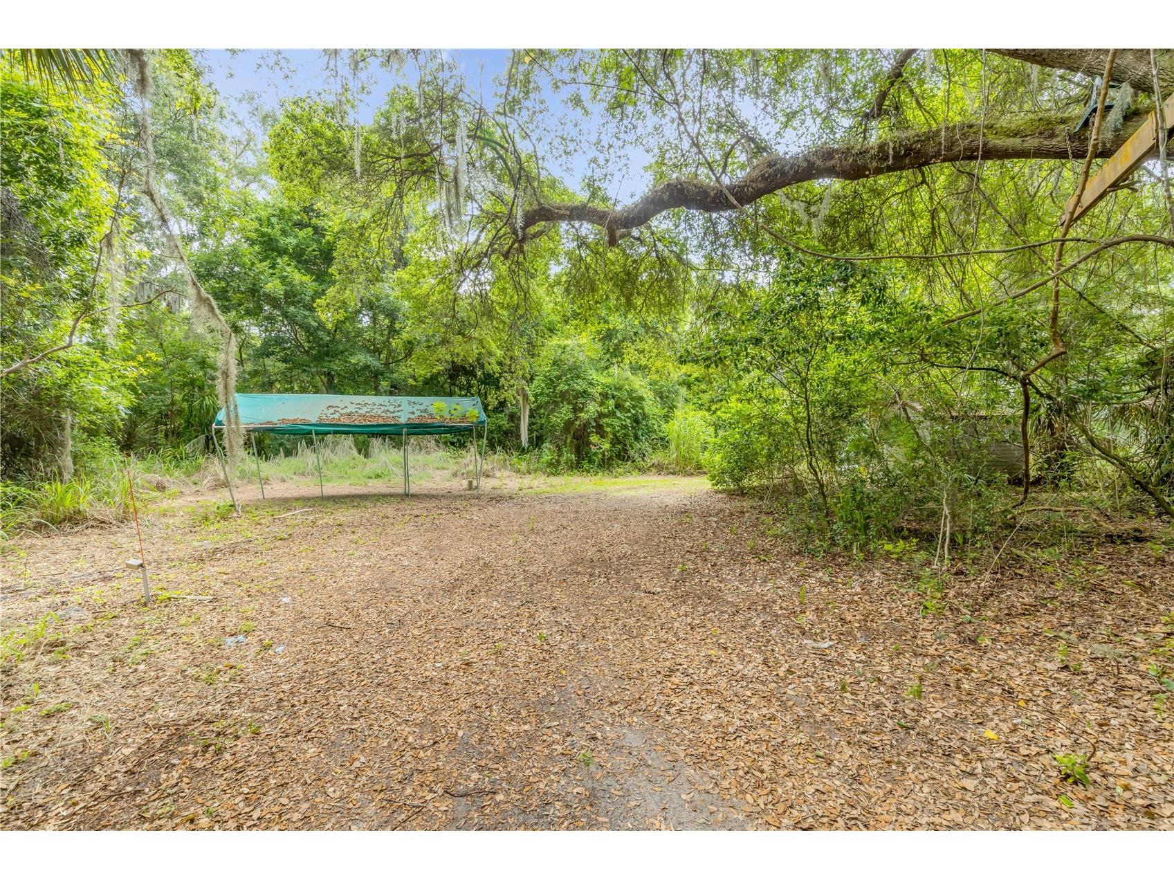 233 W Ariel Road Edgewater FL 32141 NS1088351 image71