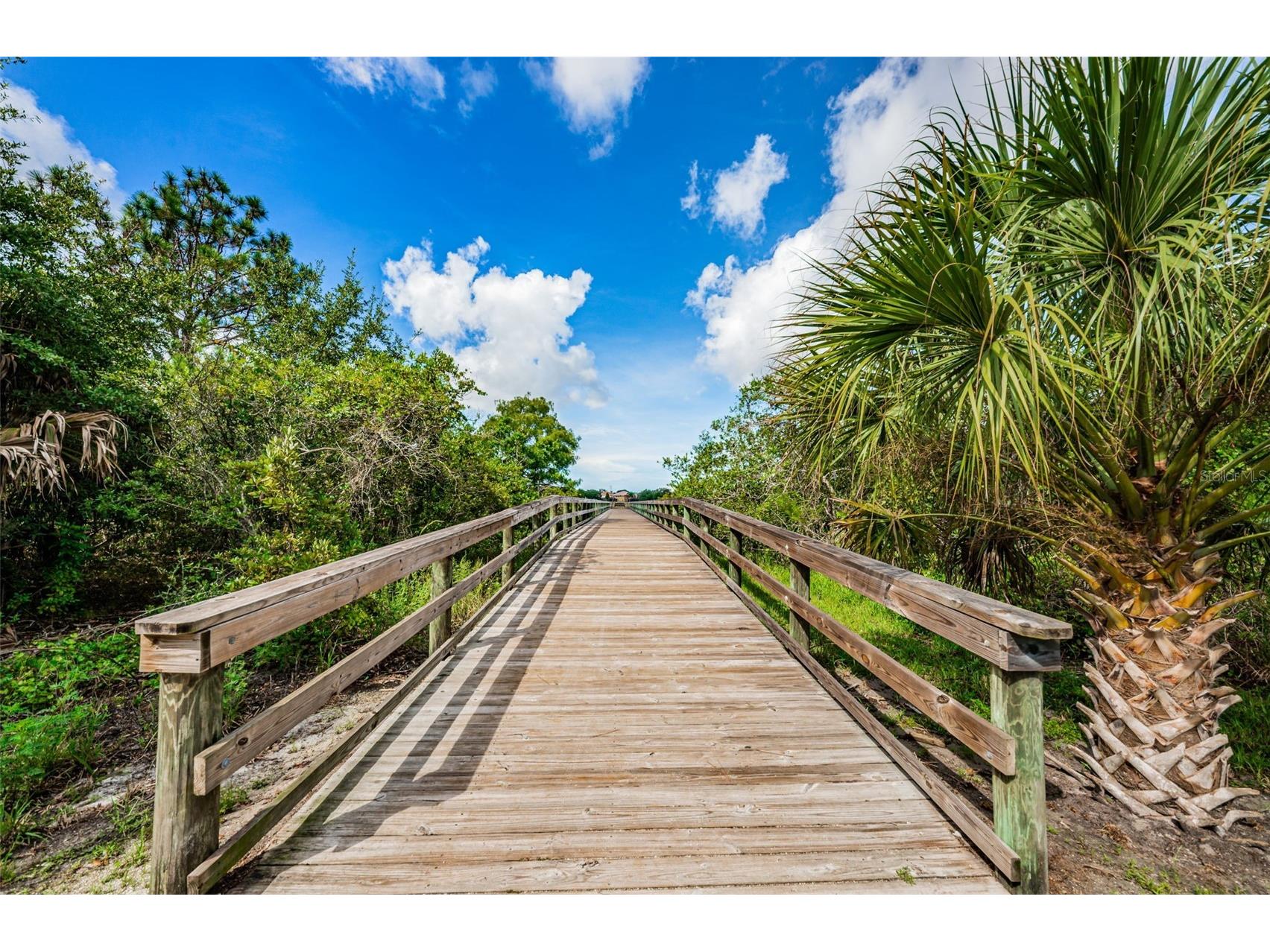 2330 Barton Lane Clearwater FL 33759 TB8511018 image79