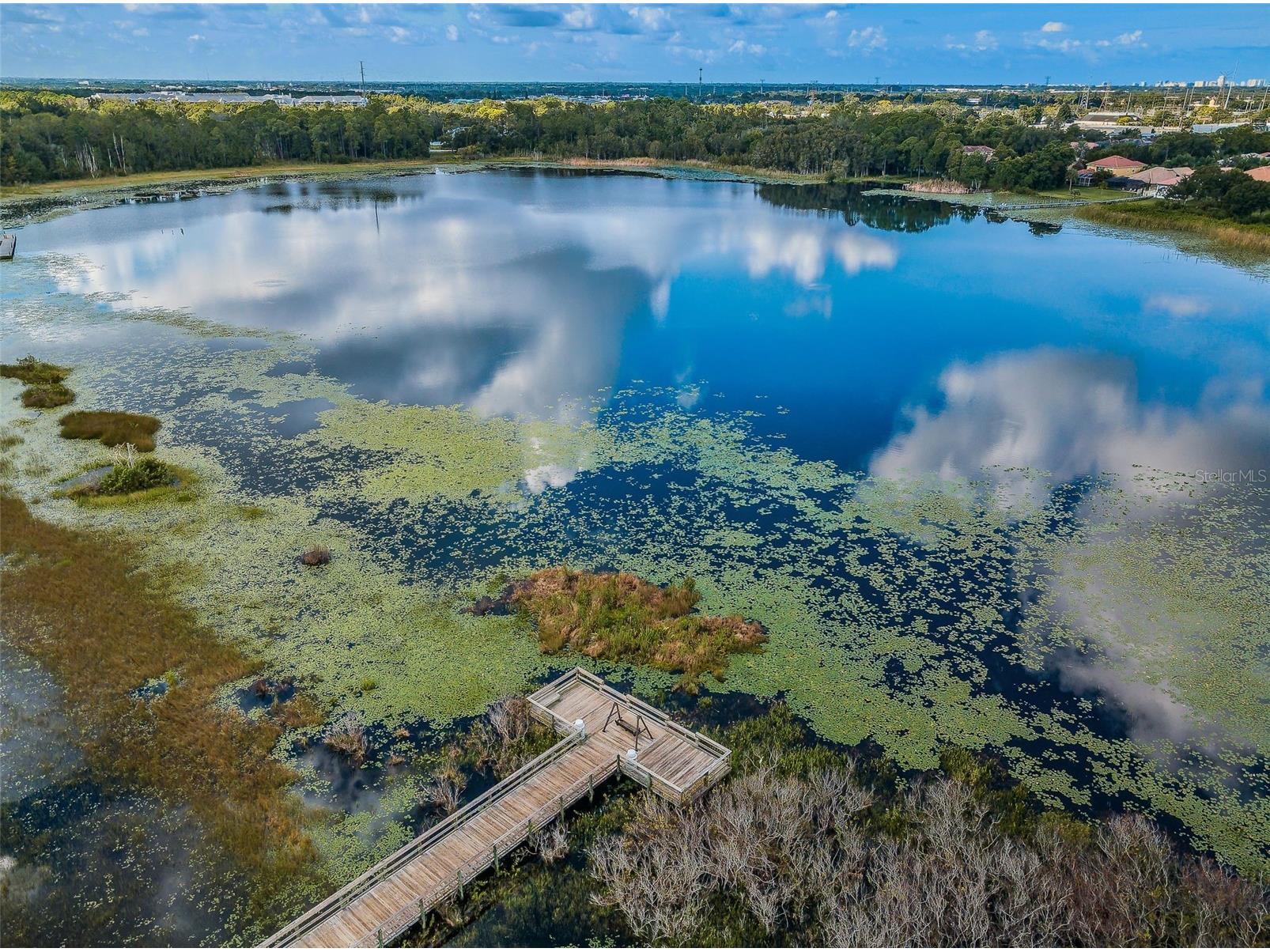 2330 Barton Lane Clearwater FL 33759 TB8511018 image80