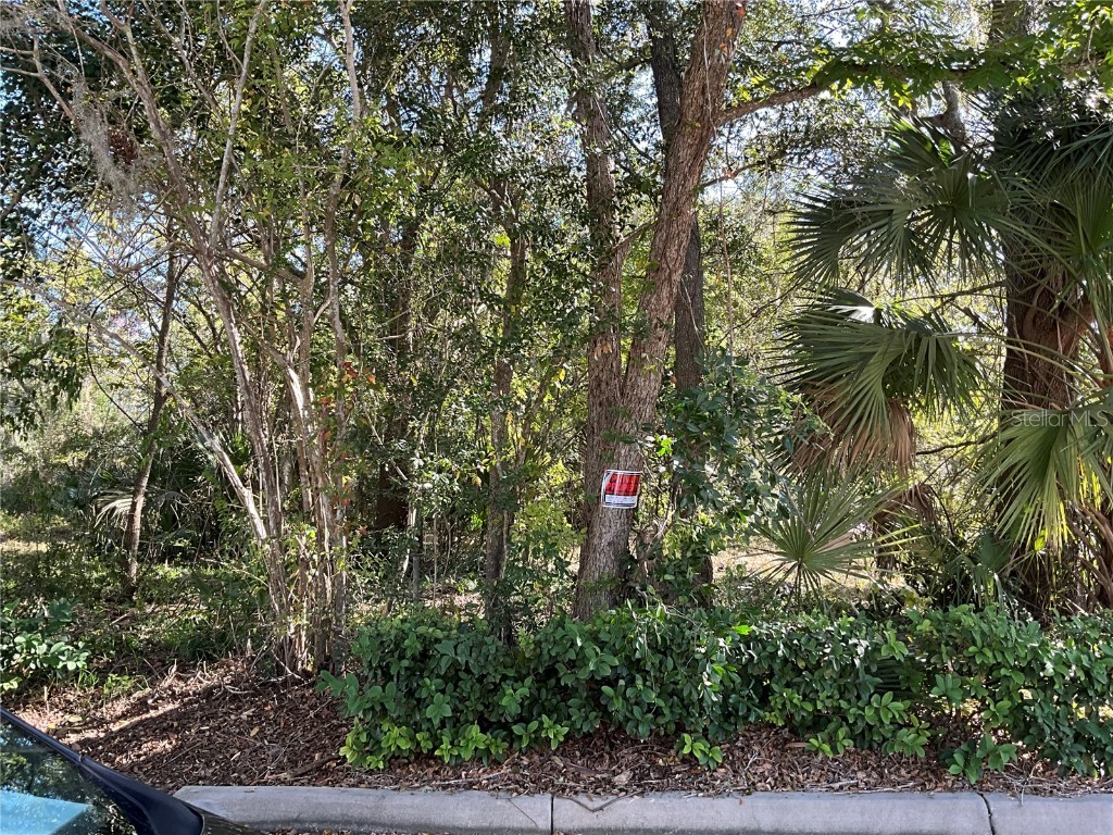 2330 E University Avenue Gainesville FL 32641 G5089792 image3