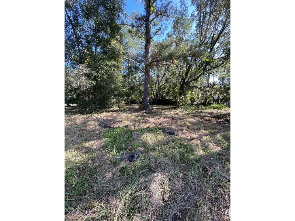 2330 E University Avenue Gainesville FL 32641 G5089792 image4