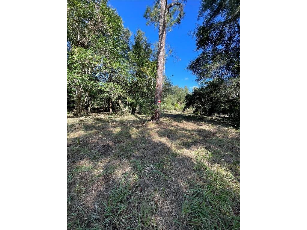 2330 E University Avenue Gainesville FL 32641 G5089792 image5