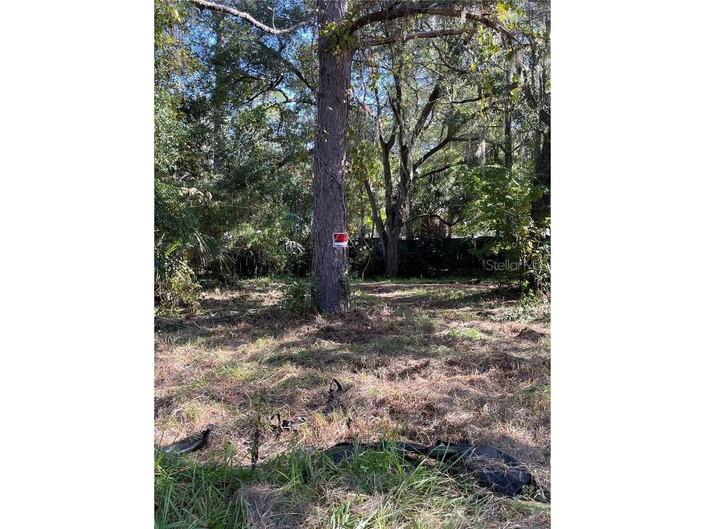 2330 E University Avenue Gainesville FL 32641 G5089792 image6