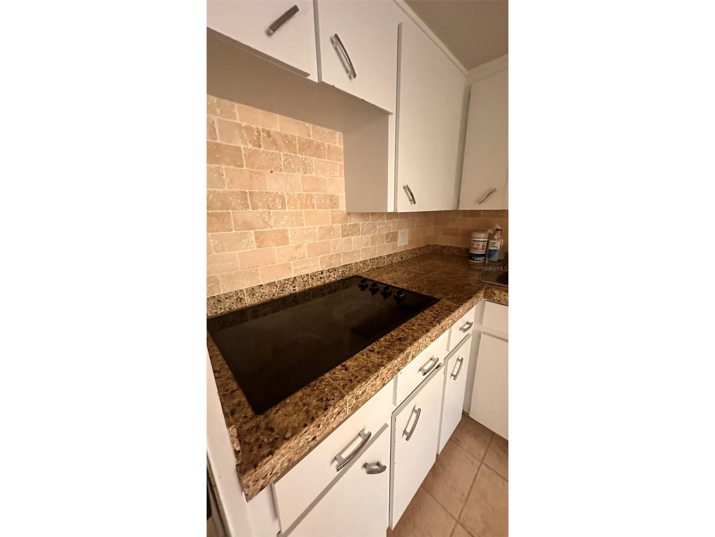 2330 Ecuadorian Way #32 Clearwater FL 33763 TB8488701 image14