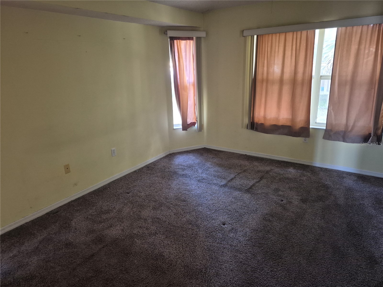 23300 Dover Drive Land O Lakes FL 34639 TB8465596 image6