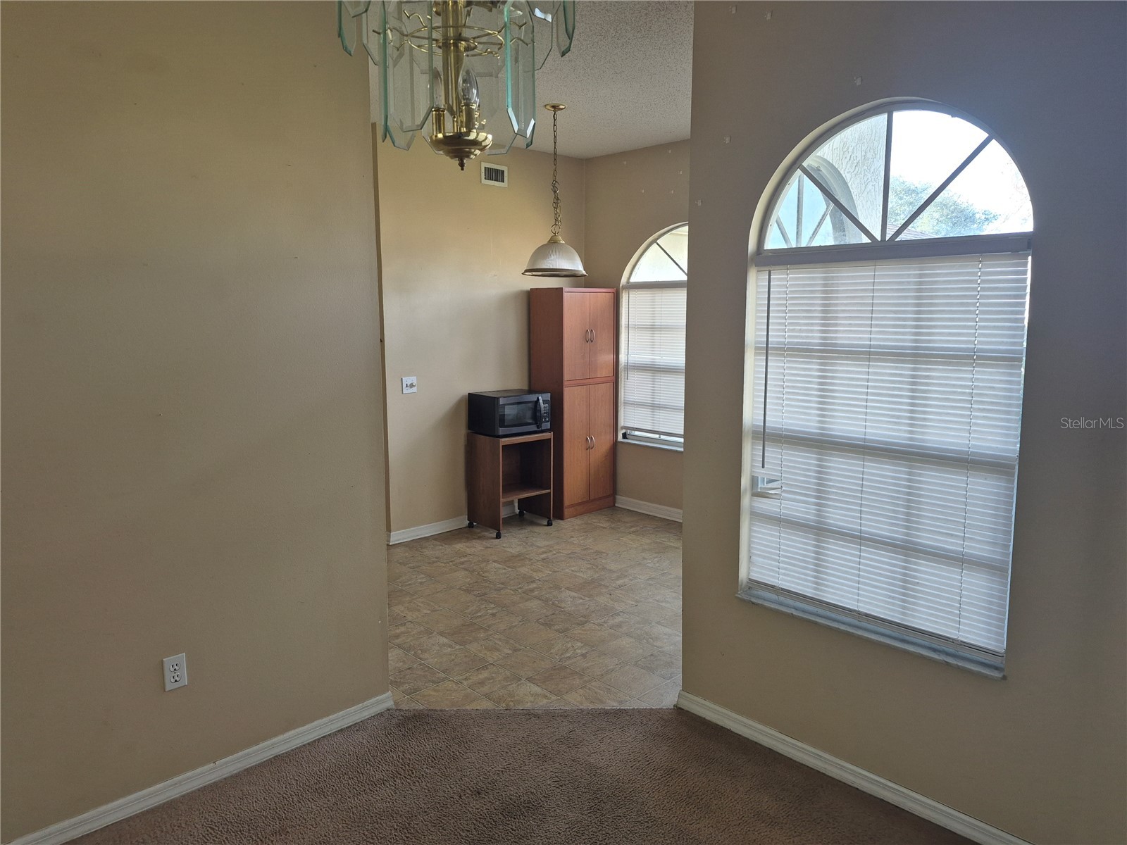 23300 Dover Drive Land O Lakes FL 34639 TB8465596 image8