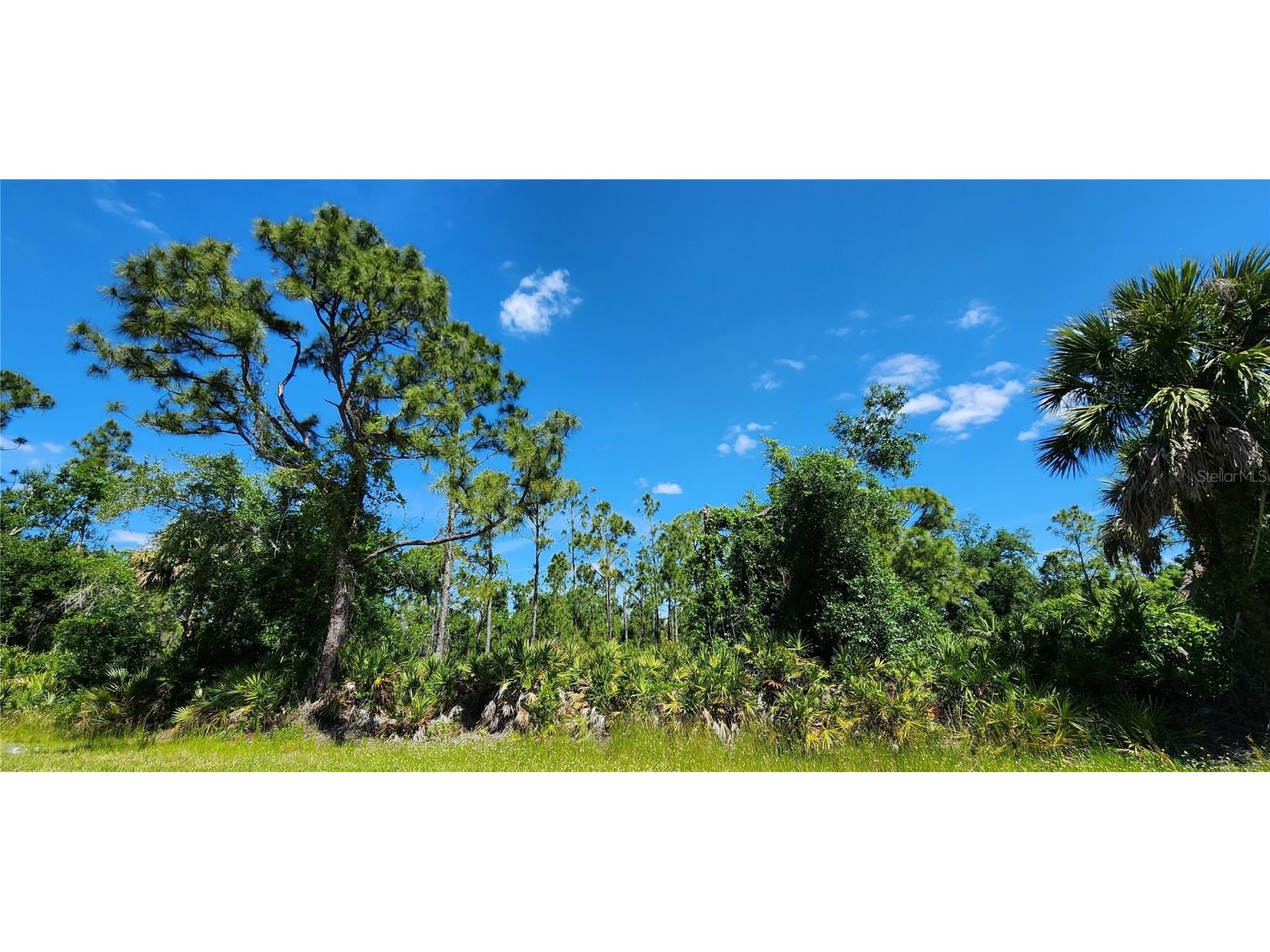 23302 Brad Avenue Punta Gorda FL 33980 C7490776 image1