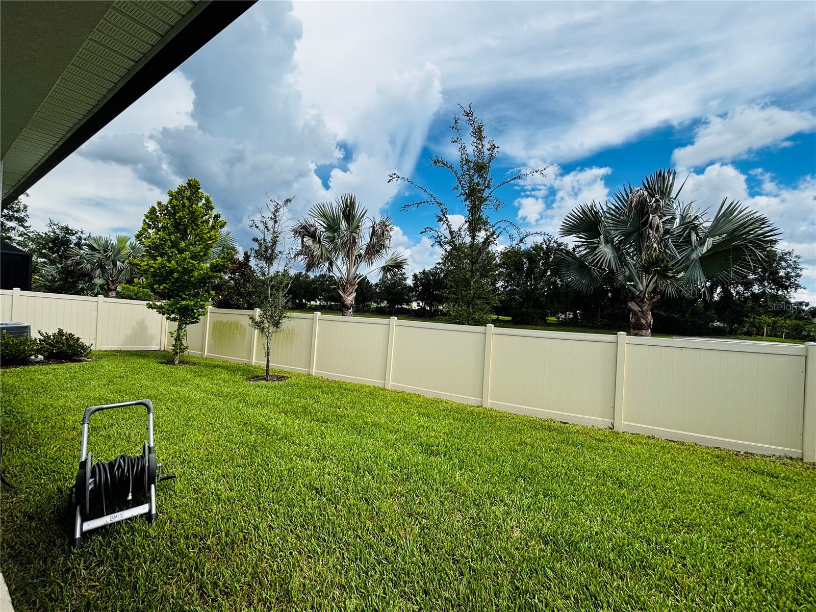 23302 Scaglione Drive Lutz FL 33549 TB8525353 image12