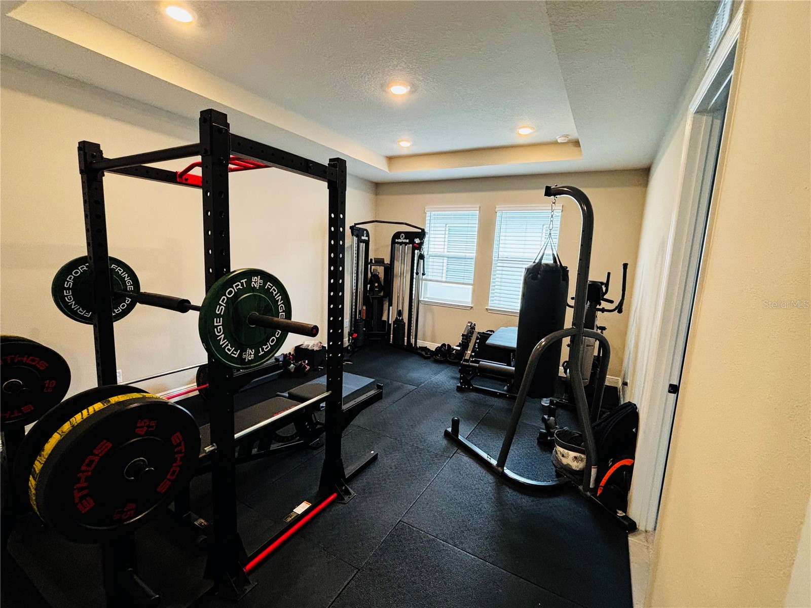 23302 Scaglione Drive Lutz FL 33549 TB8525353 image13