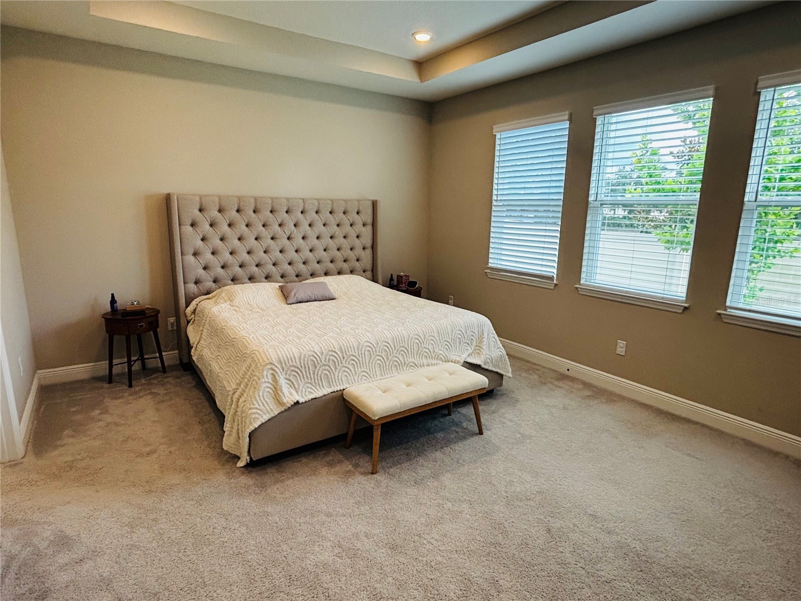 23302 Scaglione Drive Lutz FL 33549 TB8525353 image2