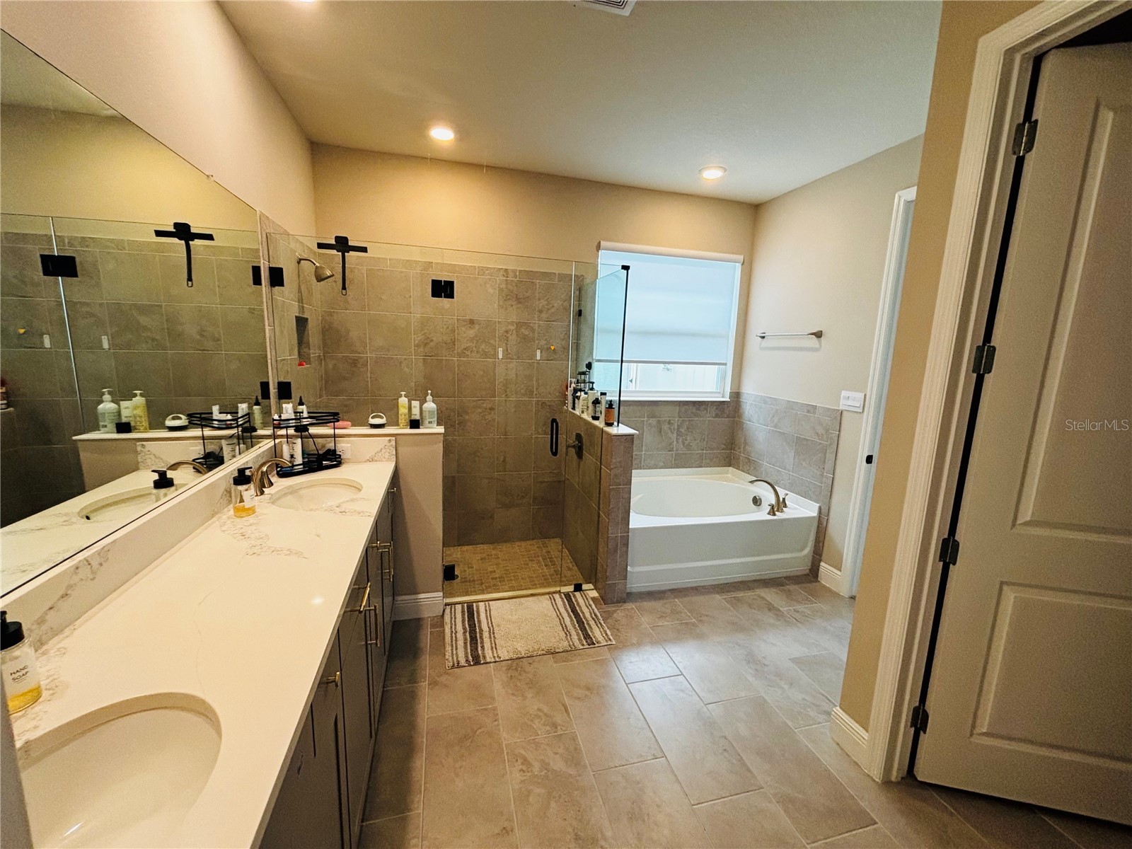 23302 Scaglione Drive Lutz FL 33549 TB8525353 image4
