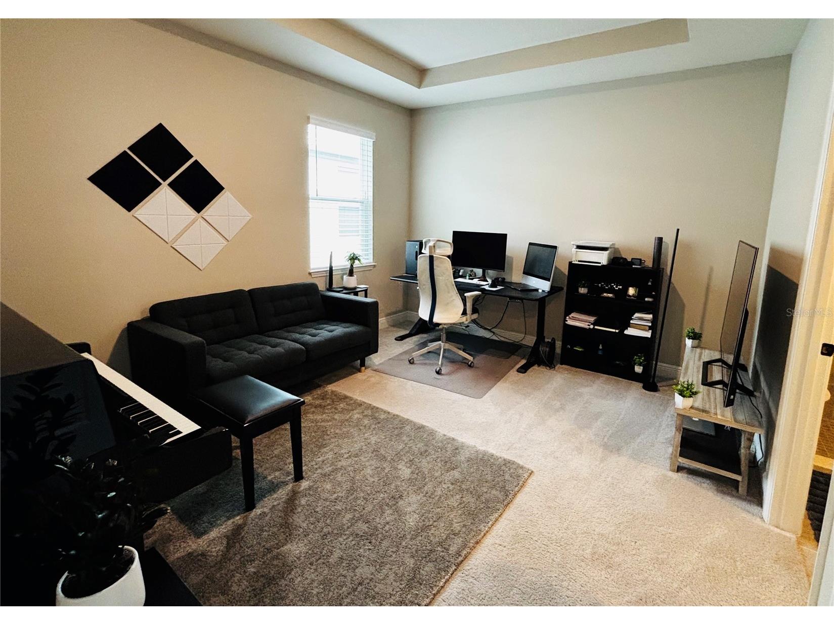 23302 Scaglione Drive Lutz FL 33549 TB8525353 image9