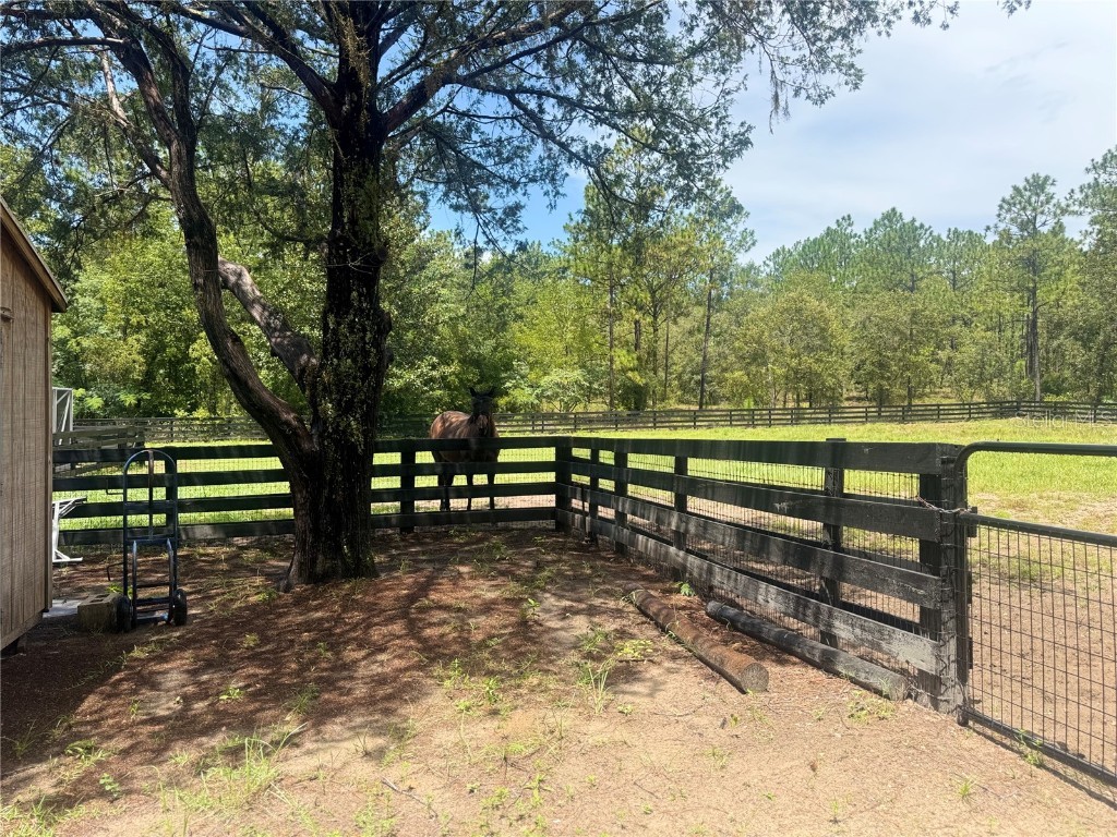 23303 NW Mallard Avenue Dunnellon FL 34431 OM707007 image28