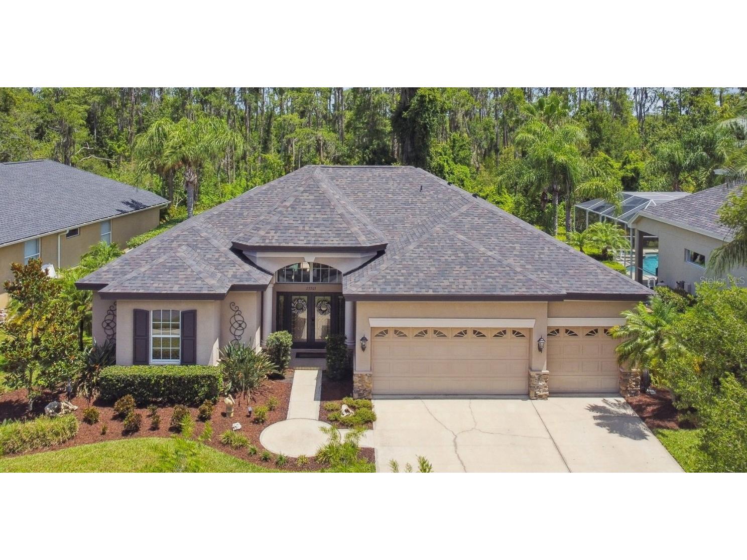 23305 Gracewood Circle Land O Lakes FL 34639 U8247620 image1