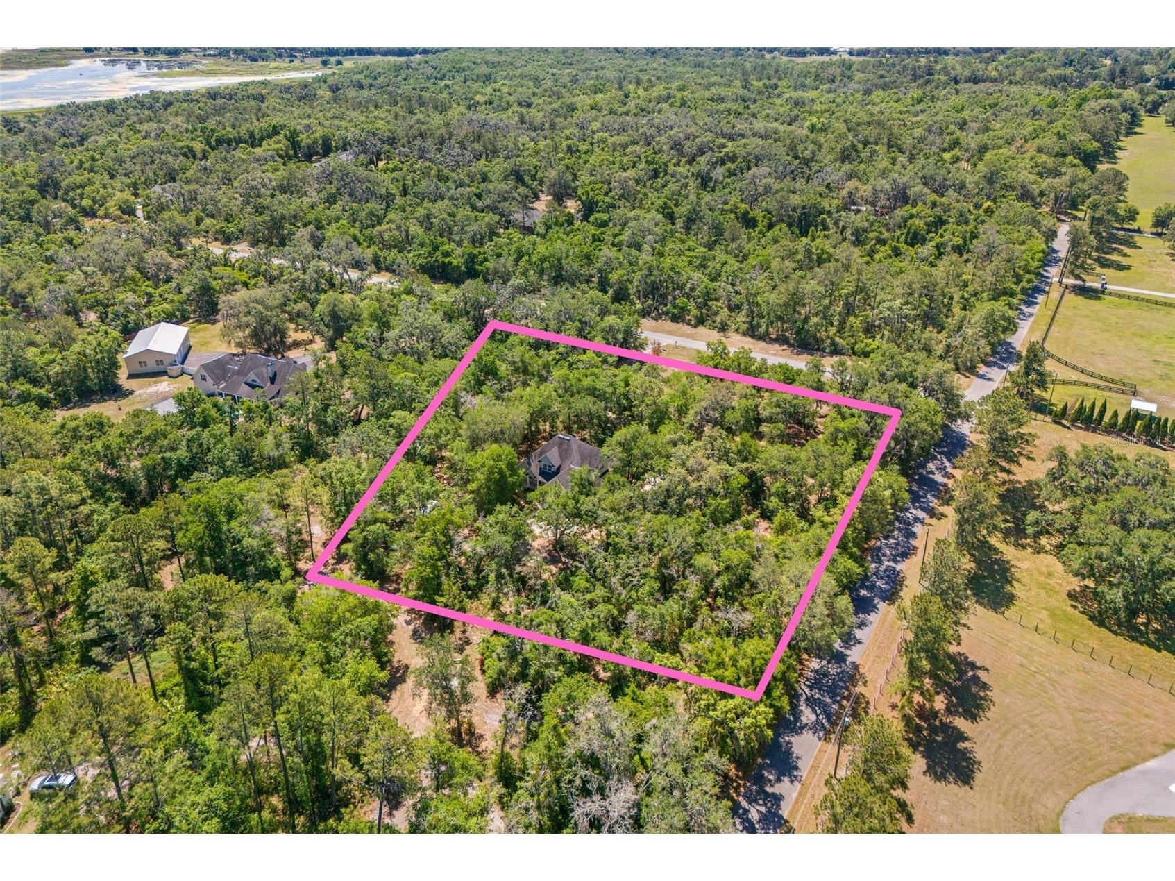 23305 June Bug Trail Brooksville FL 34602 TB8499154 image3