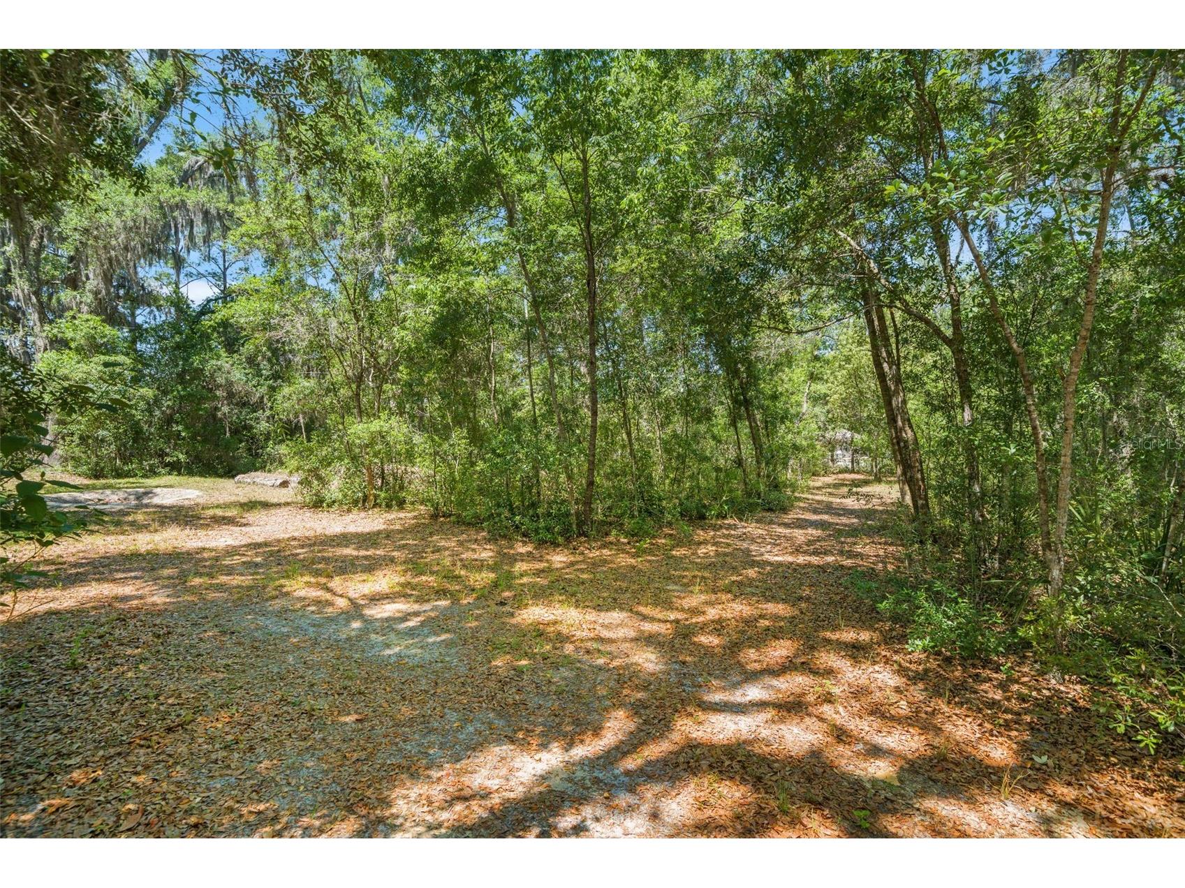 23305 June Bug Trail Brooksville FL 34602 TB8499154 image50