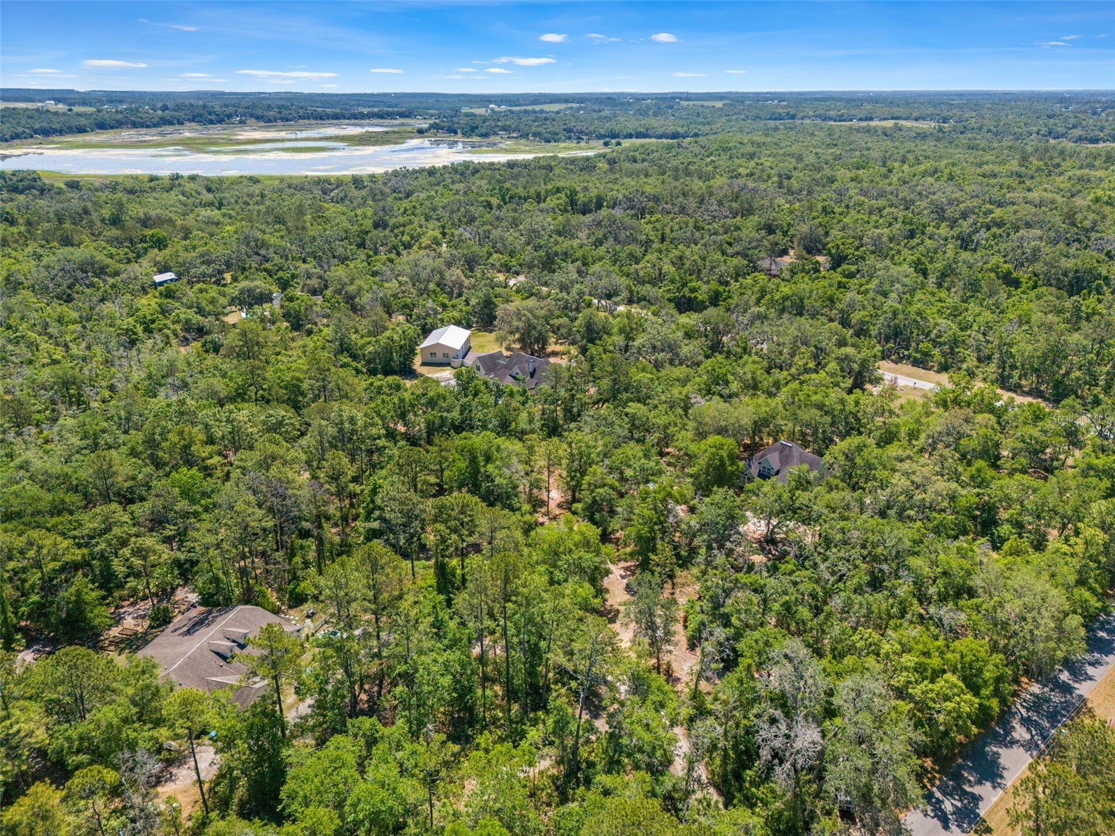 23305 June Bug Trail Brooksville FL 34602 TB8499154 image56