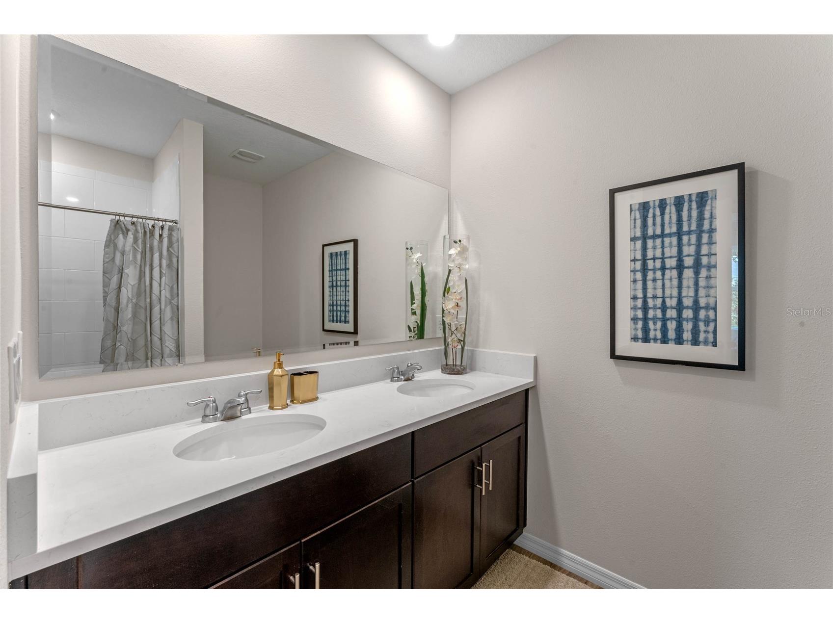 2331 Ashwood Bluff Drive Ocoee FL 34761 O6390237 image20