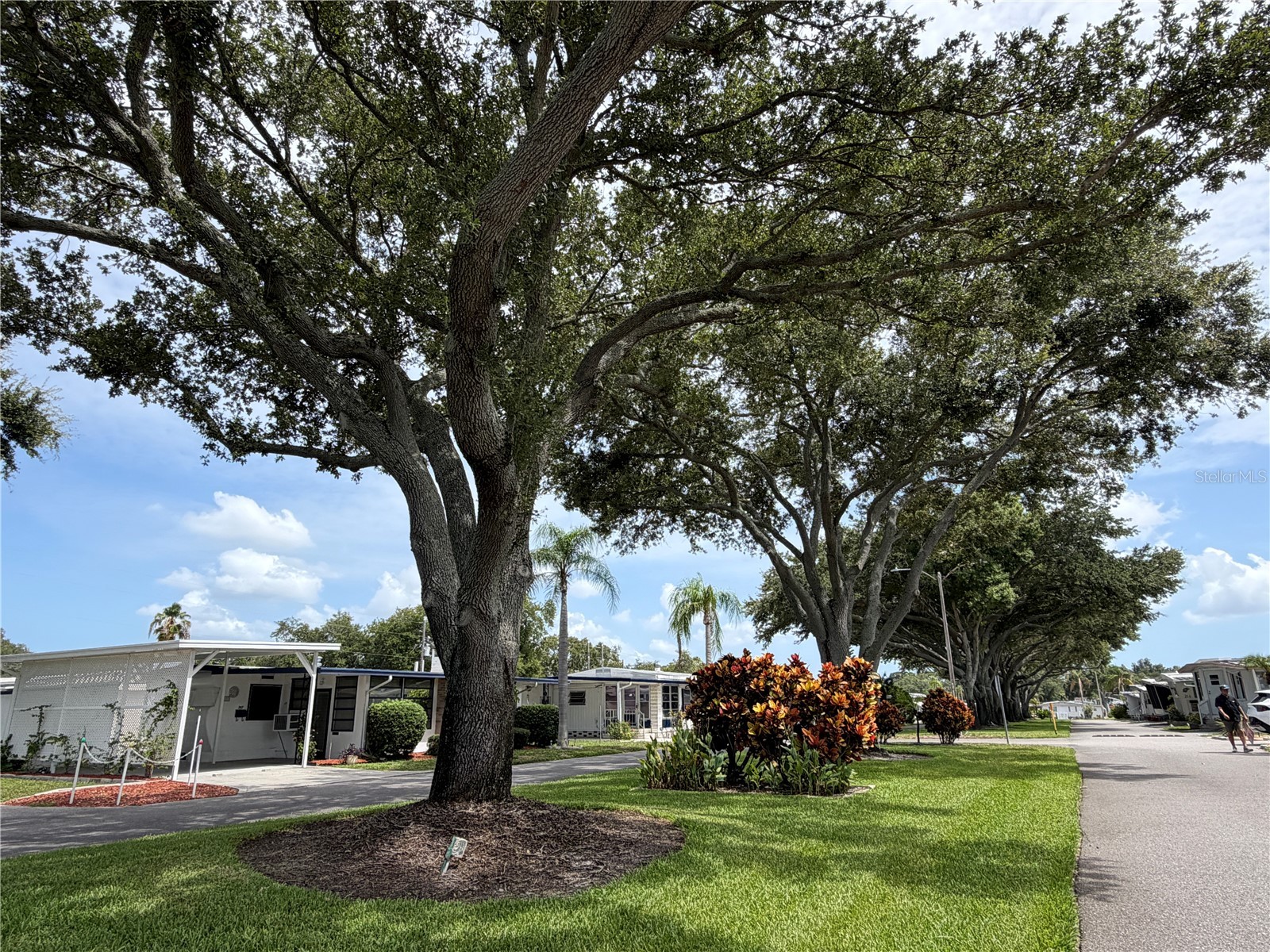 2331 Belleair Road #206 Clearwater FL 33764 TB8531133 image13