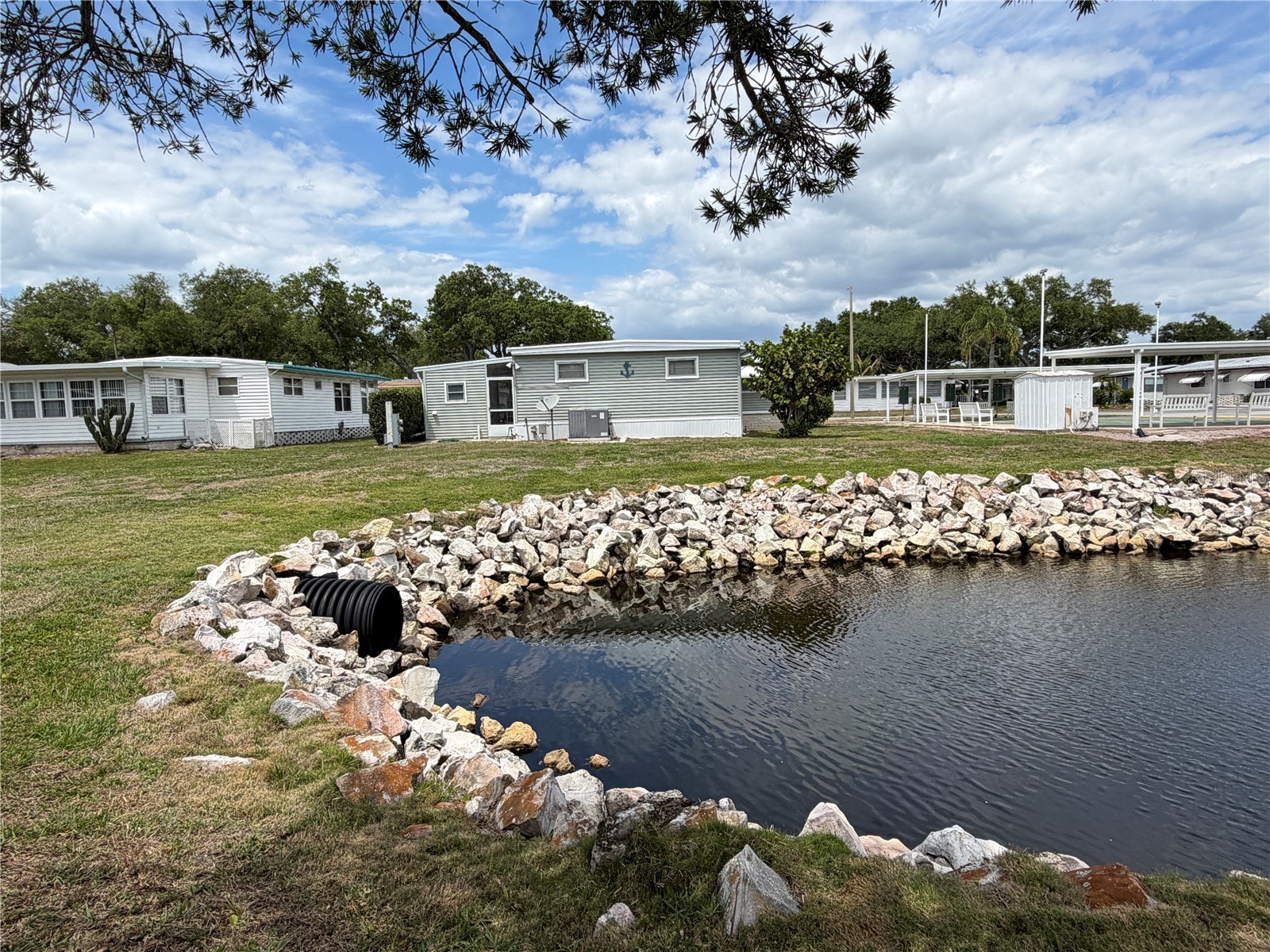 2331 Belleair Road #529 Clearwater FL 33764 TB8500159 image49