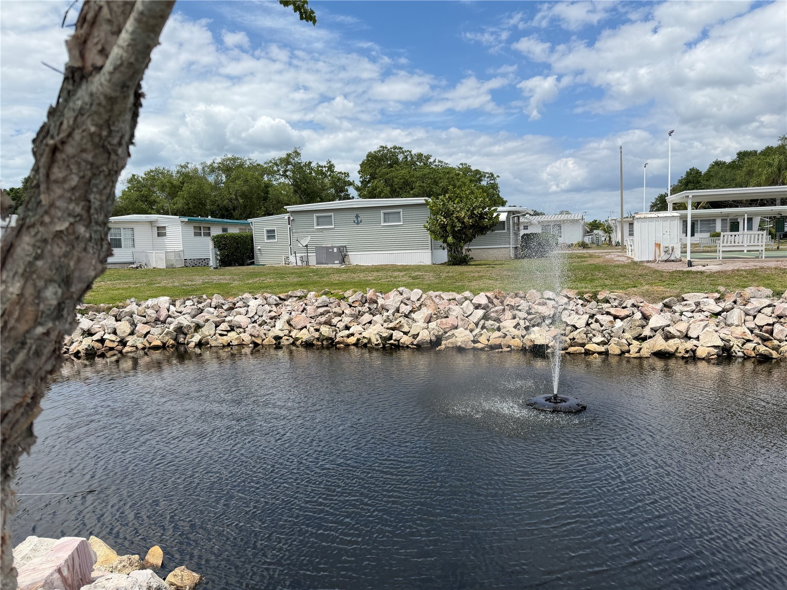2331 Belleair Road #529 Clearwater FL 33764 TB8500159 image50