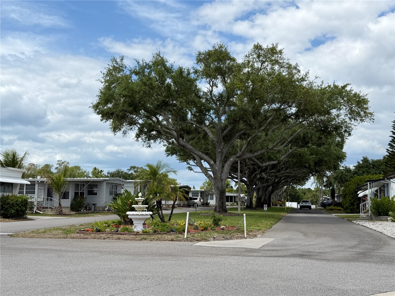 2331 Belleair Road #529 Clearwater FL 33764 TB8500159 image52