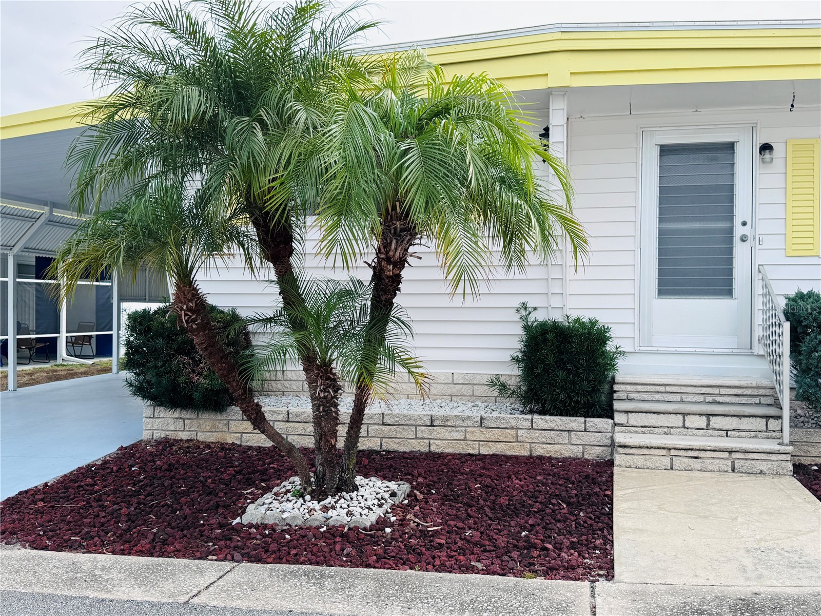 2331 Belleair Road #715 Clearwater FL 33764 TB8458209 image1